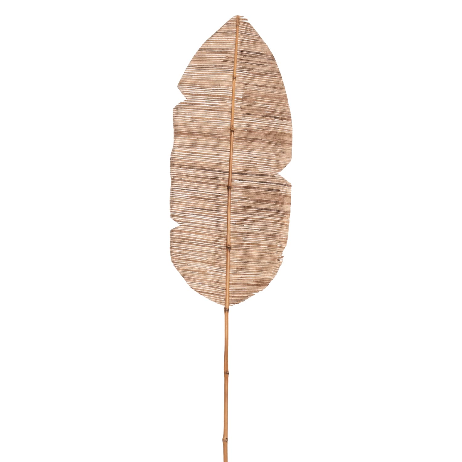 DECORATIVE LEAF WATER HYACINTH IN NATURAL COLORING 32x200x3 cm.