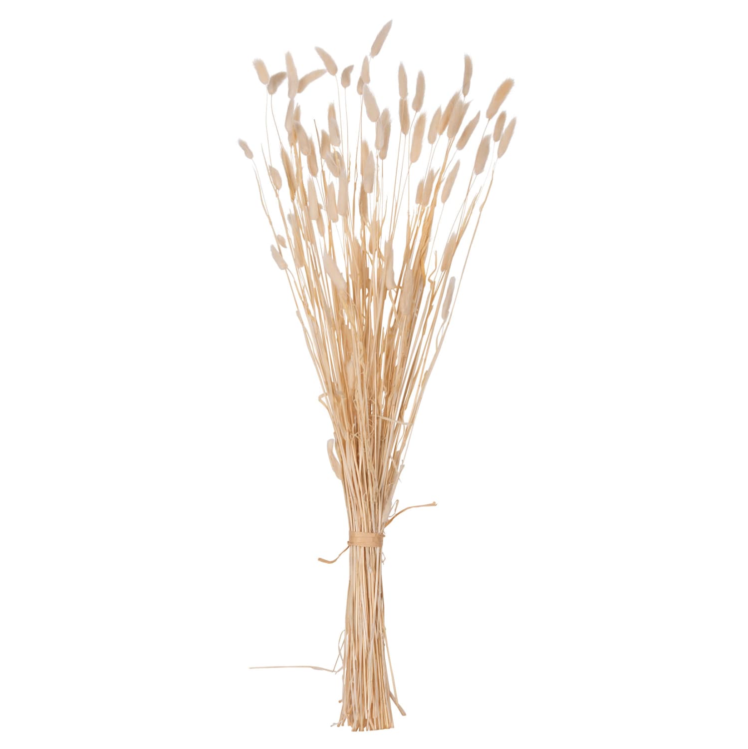 DECORATIVE DRIED BOUQUEΤ RABBIT TAIL CREAM 76Hcm.