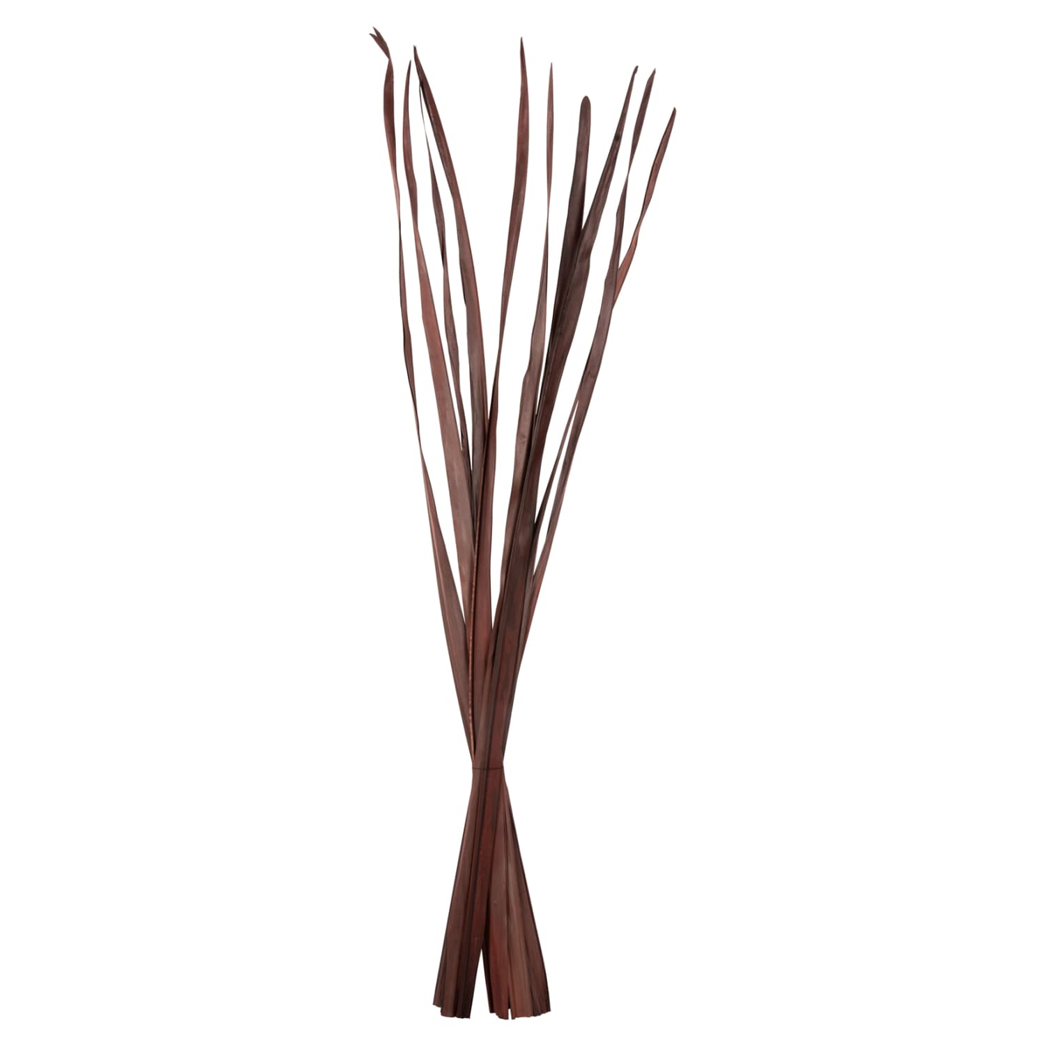 DECORATIVE DRIED SWORD LEAF BOUQUET 10PCS BROWN 120Hcm.