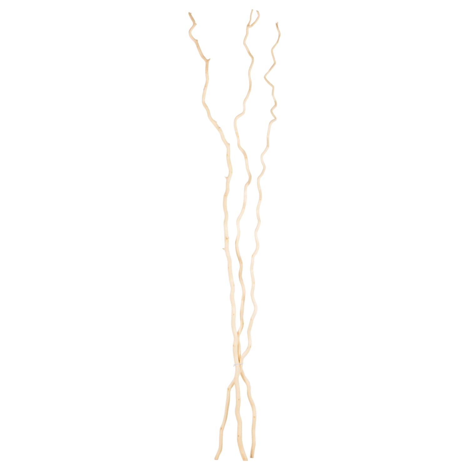 DECORATIVE BOUQUET 3PCS DRIED MORUS ALBA BRANCHES IN CREAM COLOR 1803Hcm.