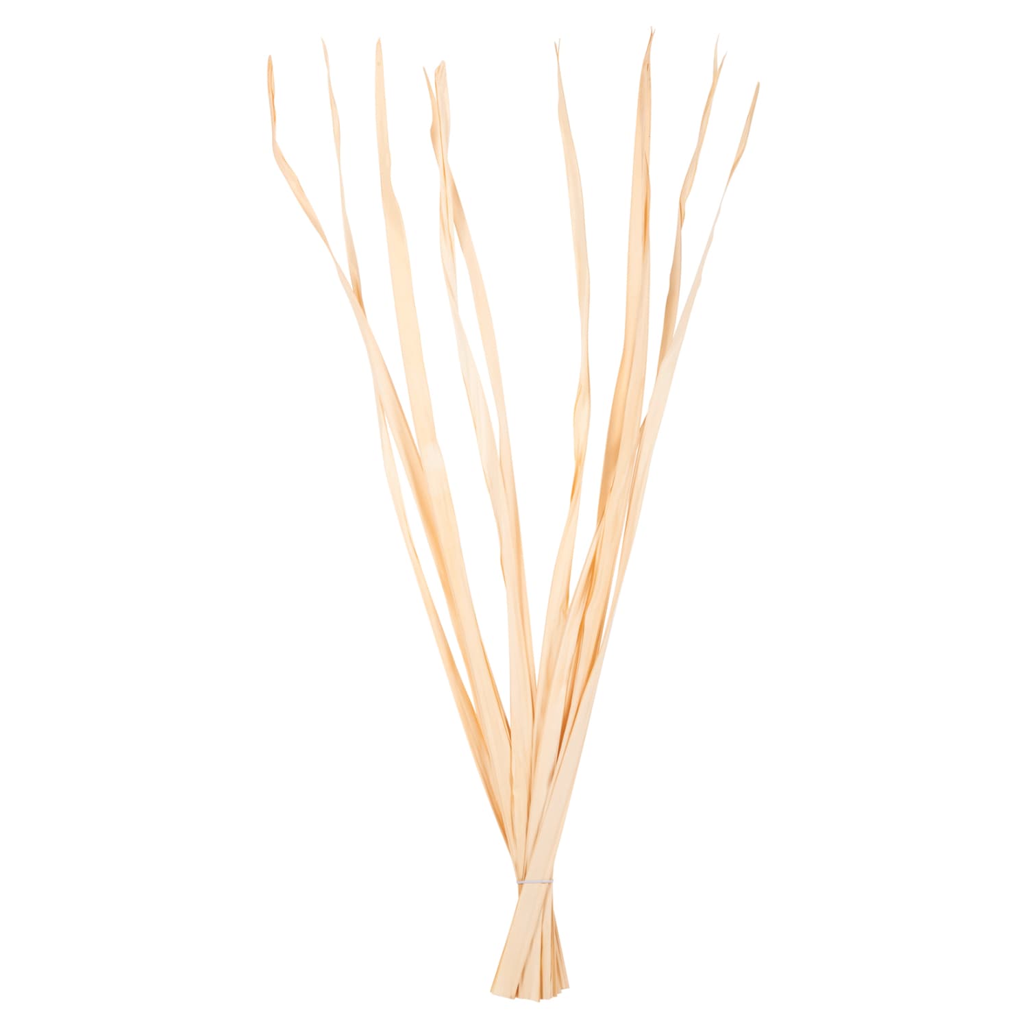 DECORATIVE DRIED SWORD LEAF BOUQUET 10PCS NATURAL 120Hcm.