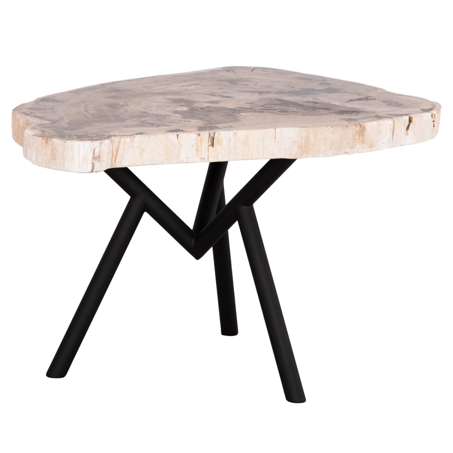 COFFEE TABLE SAMAN METAL BLACK LEGS-PETRIFIED WOOD TOP 76x53x45Hcm.