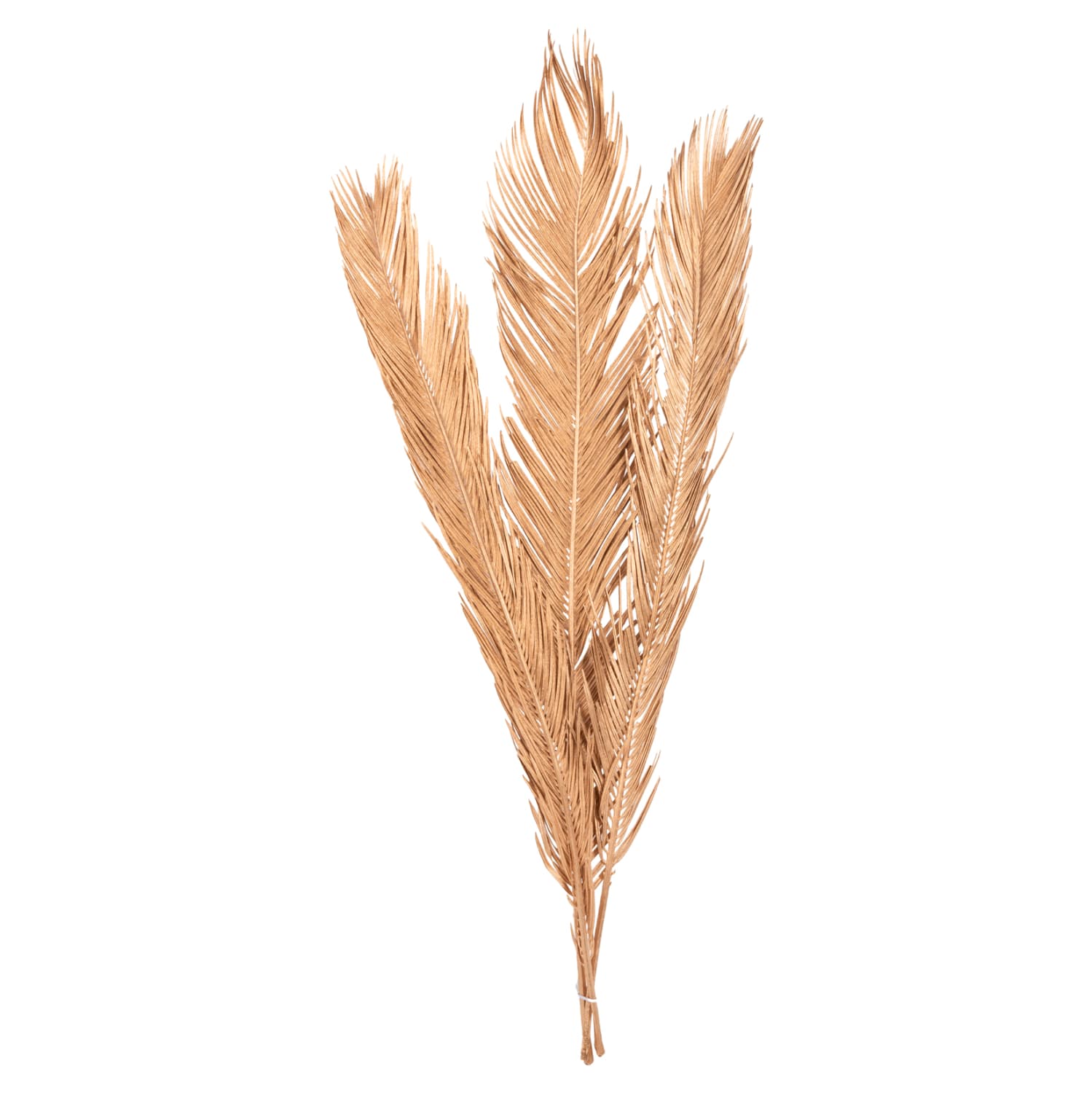 DECORATIVE DRIED 3-LEAF SET OF PALM TREE GOLD 110Hcm.